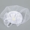 Wholesale of Amazon's new fashionable face cover gauze hat for summer women, flower-patterned gauze fashion hat and face cover top hat Specification image